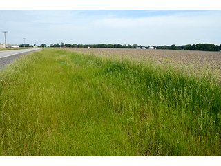 Property photo 15 - FARM & LAND AUCTION - 125+/- ACRES OFFERED IN 5 TRACTS IN EAST ALLEN COUNTY, INDIANA
